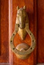 Front view of brass door knocker with the head of a horse and a horseshoe. Royalty Free Stock Photo