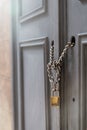 A padlock holding chains in a door/gate