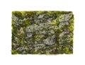 Front view of dried seaweed sheet gim Royalty Free Stock Photo