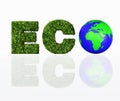 Front view of eco word with the world Royalty Free Stock Photo