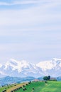 Winery landscape of, vineyards, olive trees and snow capped mountains, Italy