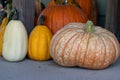 Front View of Farmers Market group of pumpkins
