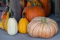 Front View of Farmers Market group of pumpkins