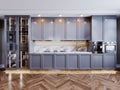 Front view of fashionable kitchen furniture with built-in appliances and sideboard with utensils. Brown expensive parquet