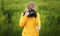 Photographer taking wheat heads picture Royalty Free Stock Photo