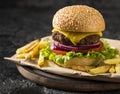 front view fresh burger fries plate. High quality beautiful photo concept Royalty Free Stock Photo