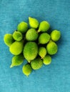 Front View of fresh green Spiny gourd