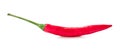 Front view of fresh red chili or pepper isolated on white background with clipping path. Hot spices Royalty Free Stock Photo