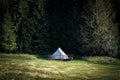 Front view of glamping camping tent in green meadow surrounded by fir tree forest Royalty Free Stock Photo