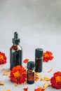 Front view of glass bottles of marigold essential oil with fresh marigold. Royalty Free Stock Photo