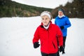 A front view of senior couple jogging in snowy winter nature.