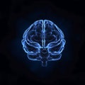 Front view of human brain Royalty Free Stock Photo