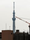 Front view image of Tokyo skytree during the day with its light off.