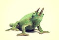 Front view of Jackson`s horned chameleon Royalty Free Stock Photo