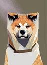 Front view of Japanese Akita Inu dog isolated on brown background Royalty Free Stock Photo