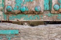 Small kitty through old wooden door hole Royalty Free Stock Photo