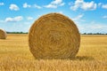 Front view of Large round hay bale on agricultural field in front of blue sky Royalty Free Stock Photo