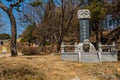 Front view of large turtle stele