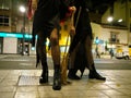 Front view of legs of two young women dressed as witches for Halloween on the streets of Valencia, Spain.