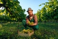 Front view looking at camera young winemaker worker vineyard squatting box grape hold bunch hands.