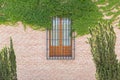 Front view of a luxurious barred window covered in greenery