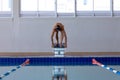 Swimmer ready to plunge Royalty Free Stock Photo