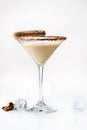 Front view of martini glass with tasty chocolate martini cocktail made from chocolate, cream and vodka, decorated with cinnamon s Royalty Free Stock Photo