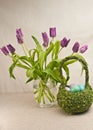 long stemmed, purple, tulips and artisan, grass, easter basket