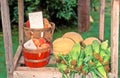 Mennonite roadside agriculture stand