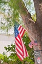 One large and two small American flag, hung from a tree Royalty Free Stock Photo