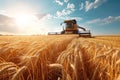 Front view of modern automated combine harvesting wheat ears on a bright summer day. Grain harvester in a vast golden Royalty Free Stock Photo
