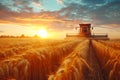 Front view of modern industrial combine harvesting wheat cereals on a summer evening. Grain harvester in an endless Royalty Free Stock Photo