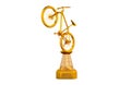 Front view of Mountain Bike Gold trophy