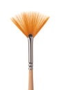 Front view of orange fan brush Royalty Free Stock Photo