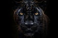 Front View of Panther on Dark Background. Generative AI