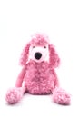 pink poodle plush sitting on white background