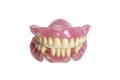 Front view of a plastic denture made of acrylic Royalty Free Stock Photo