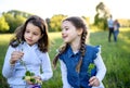 Portrait of two small girls standing outdoors in spring nature, picking flowers. Royalty Free Stock Photo