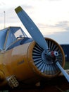 Front view of propeller and cabin of piston engine cropduster aircraft Zlin Z-37 Cmelak Bumblebee
