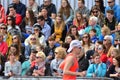 Front view of public heads contemplate city marathon runners.