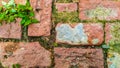 Front view of Red bricks and Moss Royalty Free Stock Photo