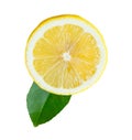 Front view of ripe yellow lemon fruit in single circle slice with its green leaf isolated on white background with clipping path Royalty Free Stock Photo