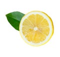 Front view of ripe yellow lemon fruit in single circle slice with its green leaf isolated on white background with clipping path Royalty Free Stock Photo