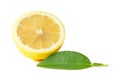 Front view of ripe yellow lemon fruit in slice in one half and circle shape with green leaf in stack isolated on white background Royalty Free Stock Photo