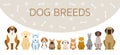 Group of Dog Breeds Illustration