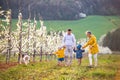 Senior grandparents with toddler grandchildren walking in orchard in spring. Royalty Free Stock Photo