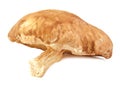 Front view a shitake mushroom on white background. Royalty Free Stock Photo