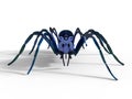 Front view - spider cutout Royalty Free Stock Photo