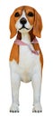 Front view statue Beagle dog on white background with clipping path