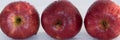 Front view of three crispy red apples on white background